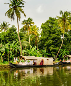 Kerala Backwater